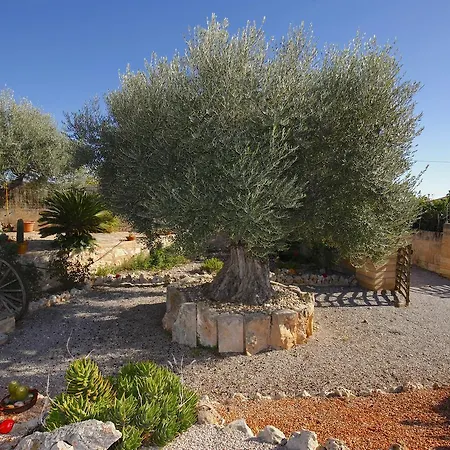 Quality Villa Es Moli Porreres Extérieur photo